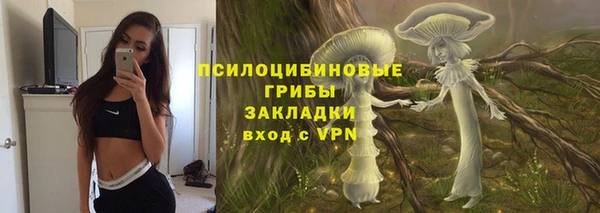 прущие грибы Бугульма