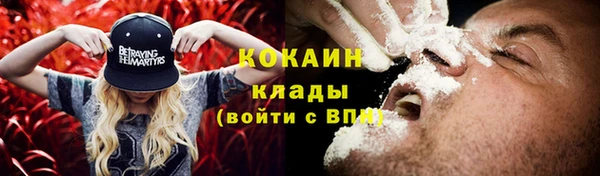 PSILOCYBIN Богородск