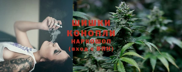крисы Богданович