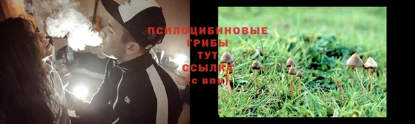 марки nbome Богородицк