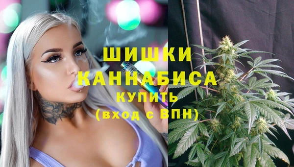 крисы Богданович