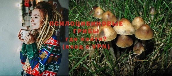 марки nbome Богородицк