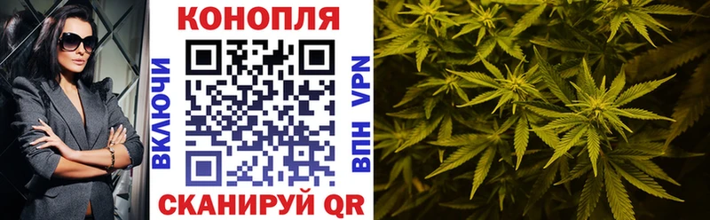 Каннабис план  цены наркотик  Моздок 